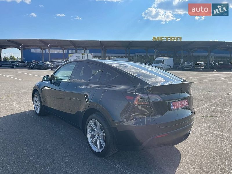 Позашляховик / Кросовер Tesla Model Y 2023 в Києві