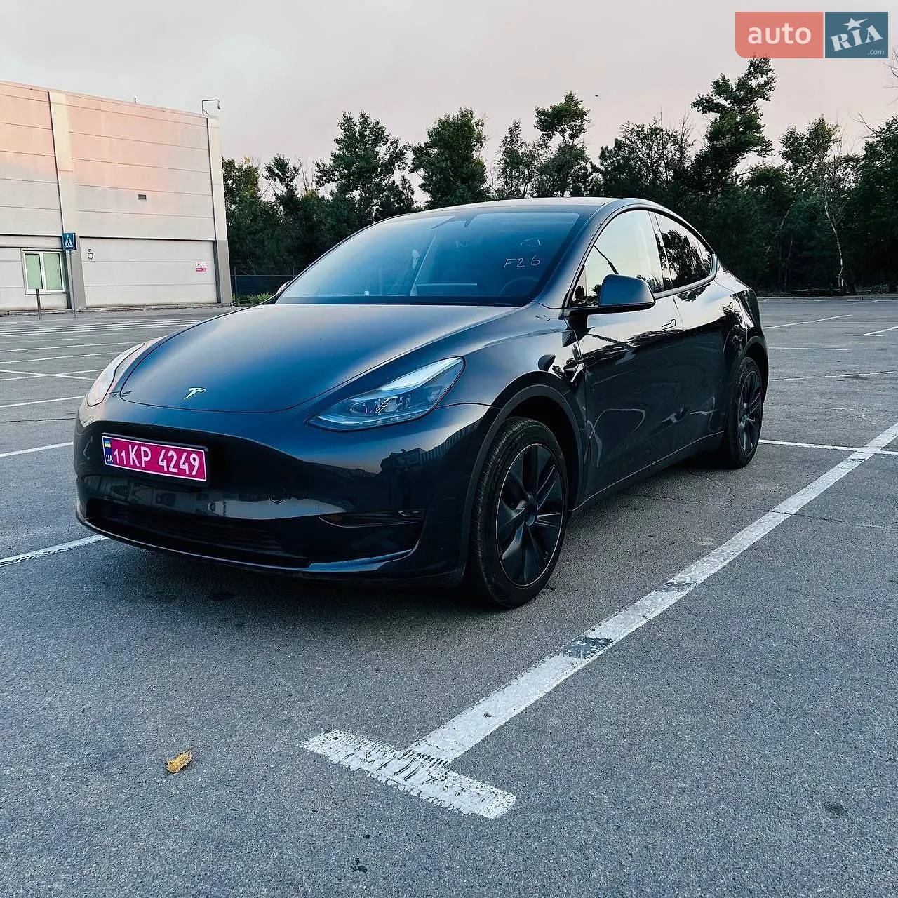 2024 Tesla Model Y - фото 1