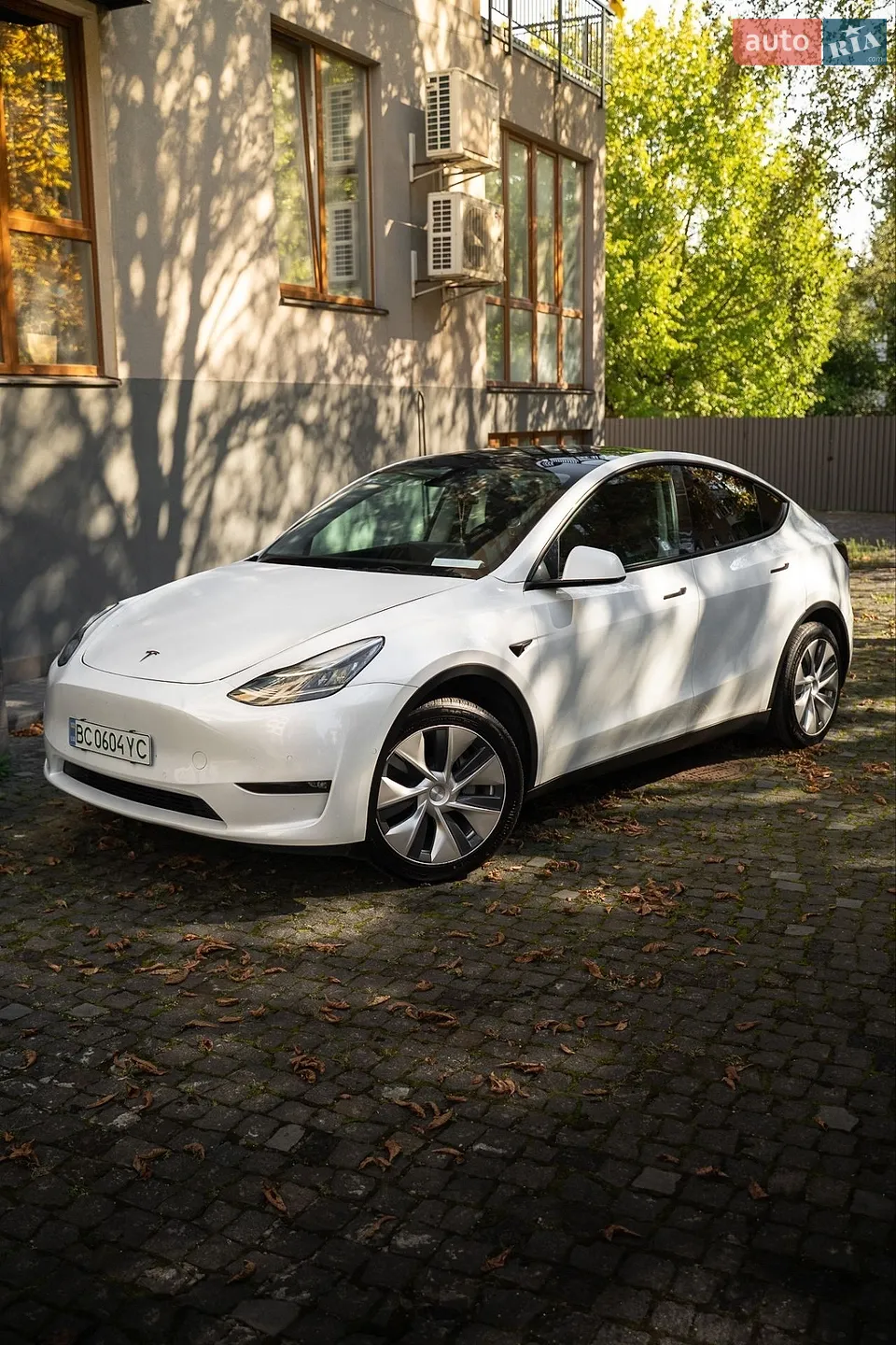 2022 Tesla Model Y - фото 1