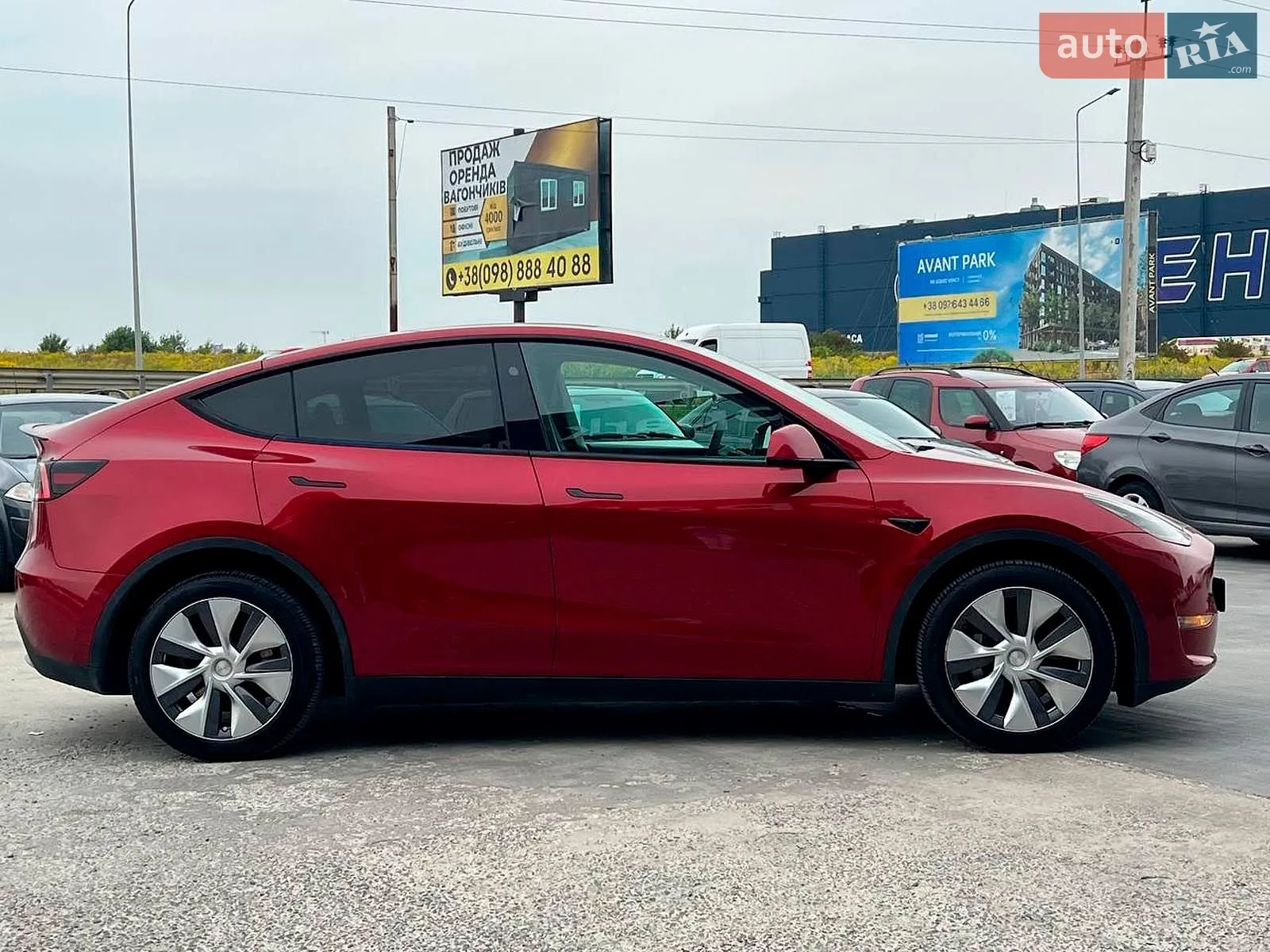 2024 Tesla Model Y - мініатюра 11