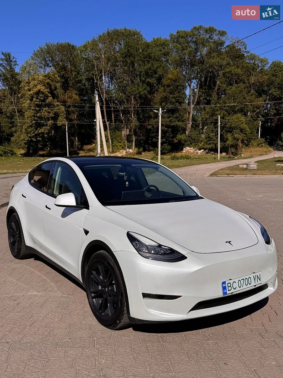 2021 Tesla Model Y - фото 1