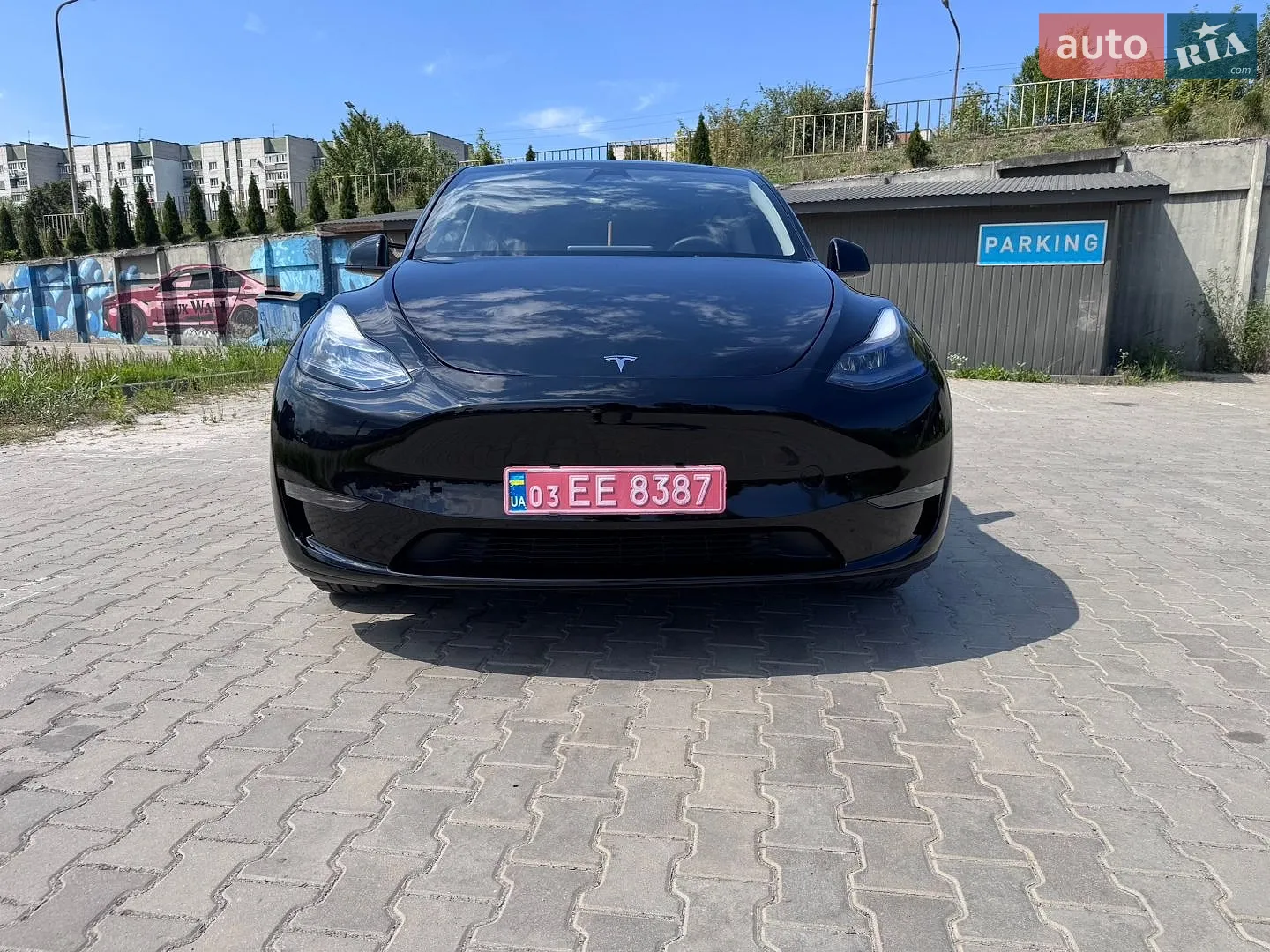 2024 Tesla Model Y - фото 1