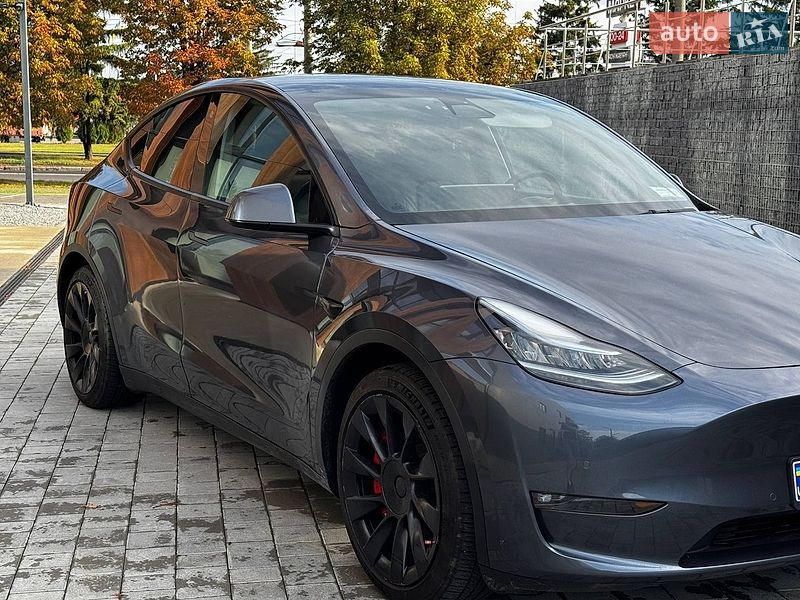 Внедорожник / Кроссовер Tesla Model Y 2021 в Луцке