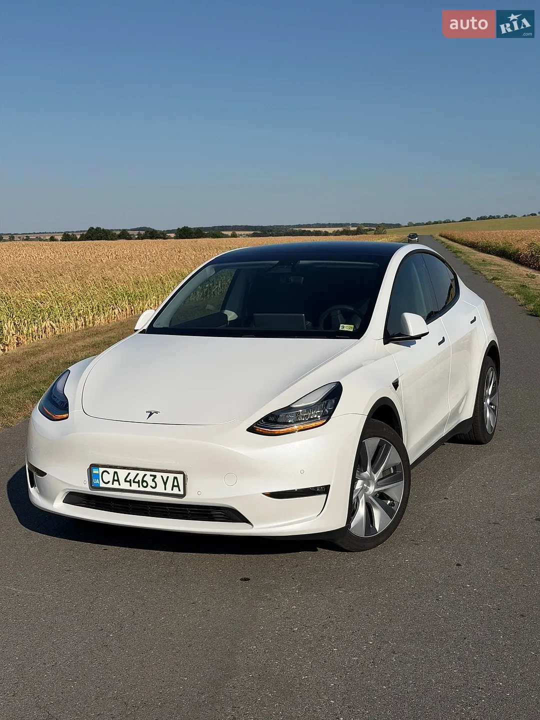 2020 Tesla Model Y - мініатюра 8