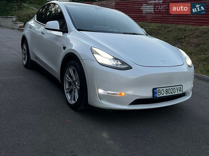 Внедорожник / Кроссовер Tesla Model Y 2021 в Тернополе