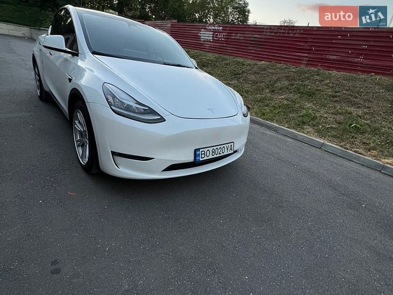 Внедорожник / Кроссовер Tesla Model Y 2021 в Тернополе