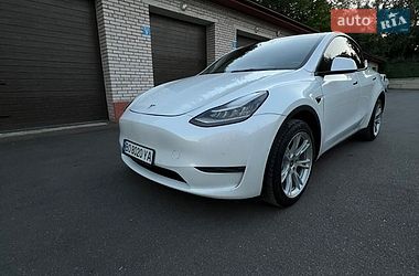Внедорожник / Кроссовер Tesla Model Y 2021 в Тернополе