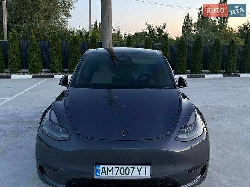 Внедорожник / Кроссовер Tesla Model Y 2023 в Звягеле фото 3 Внедорожник / Кроссовер Tesla Model Y 2023 в Звягеле