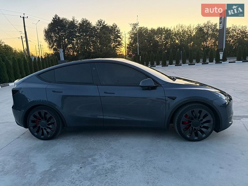 Внедорожник / Кроссовер Tesla Model Y 2023 в Звягеле фото 5 Внедорожник / Кроссовер Tesla Model Y 2023 в Звягеле