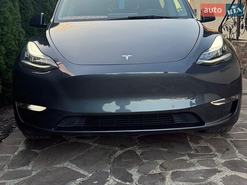 Внедорожник / Кроссовер Tesla Model Y 2022 в Ужгороде