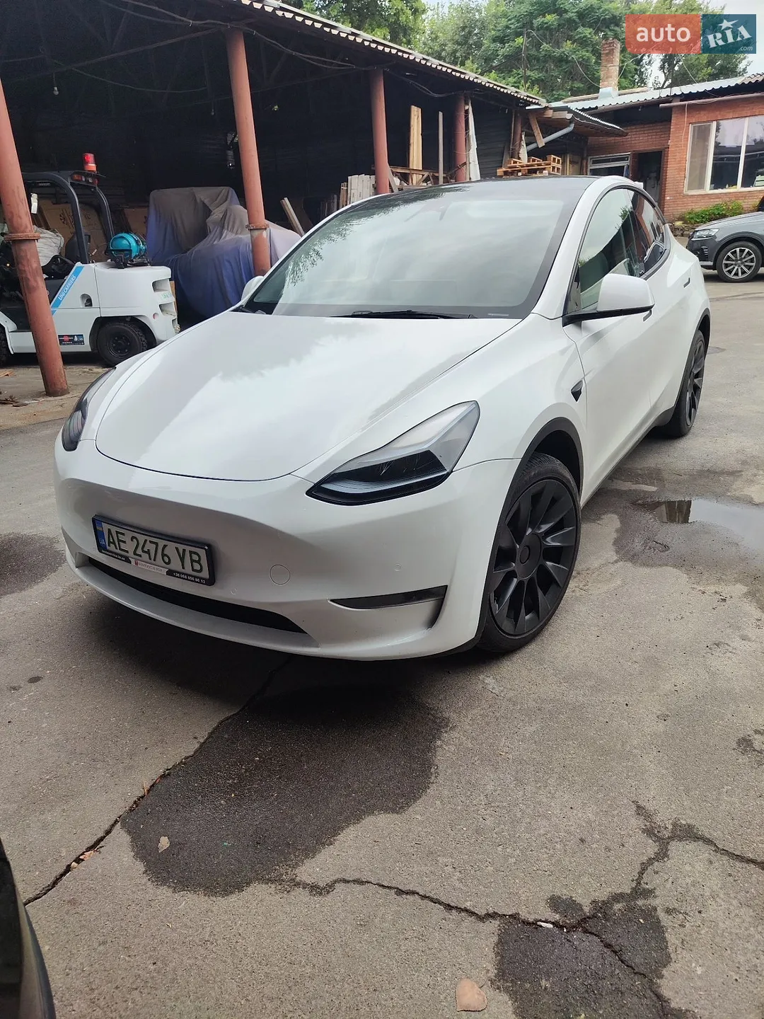 2022 Tesla Model Y - фото 1
