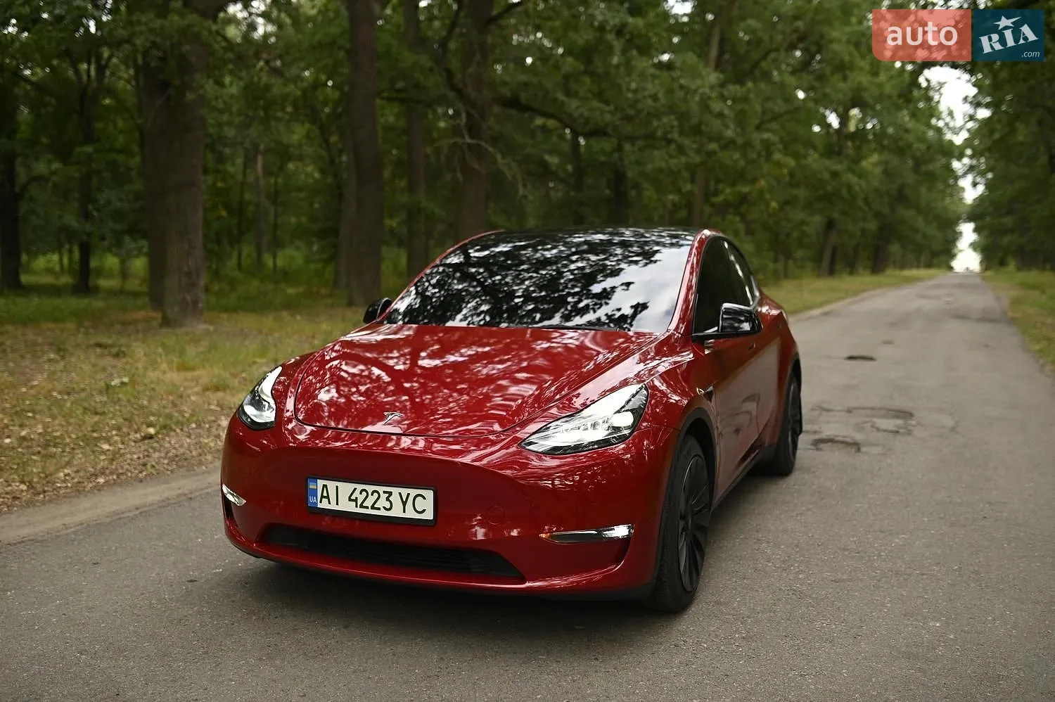 2021 Tesla Model Y - фото 1