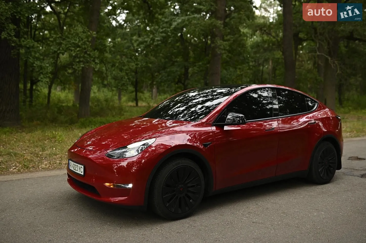 2021 Tesla Model Y - мініатюра 4