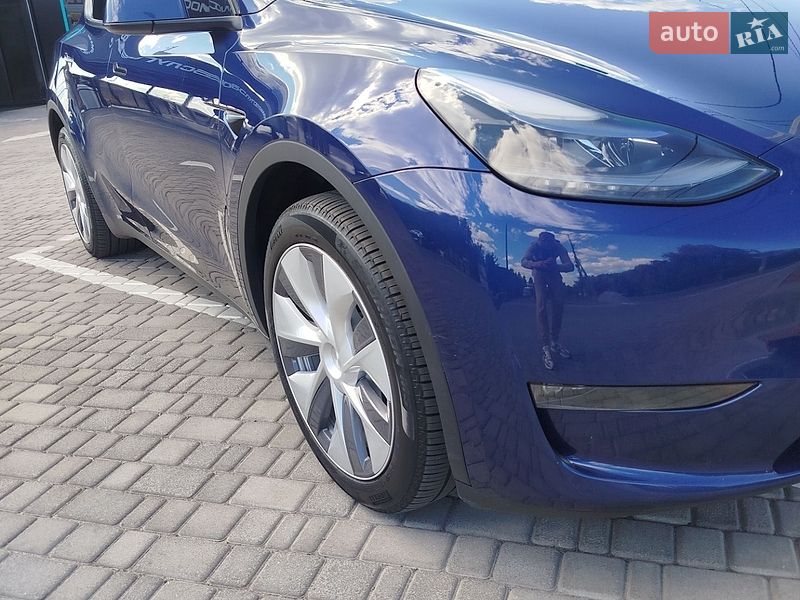 Позашляховик / Кросовер Tesla Model Y 2023 в Звягелі