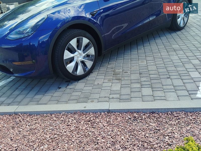 Позашляховик / Кросовер Tesla Model Y 2023 в Звягелі