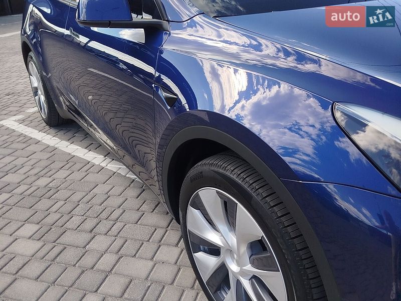 Позашляховик / Кросовер Tesla Model Y 2023 в Звягелі