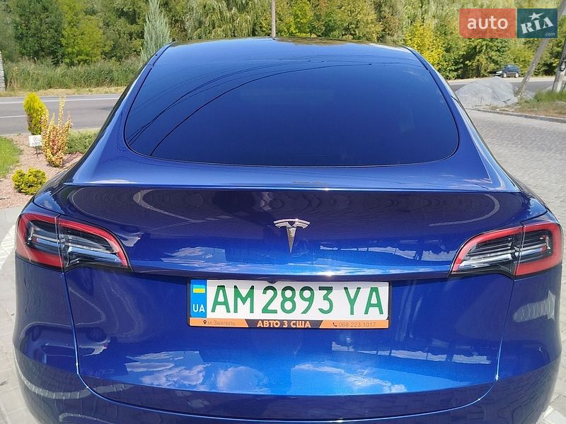 Позашляховик / Кросовер Tesla Model Y 2023 в Звягелі