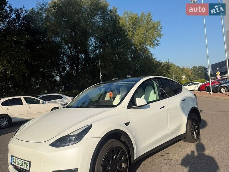 Позашляховик / Кросовер Tesla Model Y 2023 в Києві