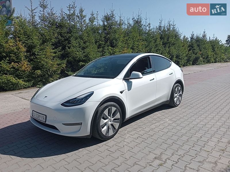 Внедорожник / Кроссовер Tesla Model Y 2021 в Шепетовке фото 2 Внедорожник / Кроссовер Tesla Model Y 2021 в Шепетовке