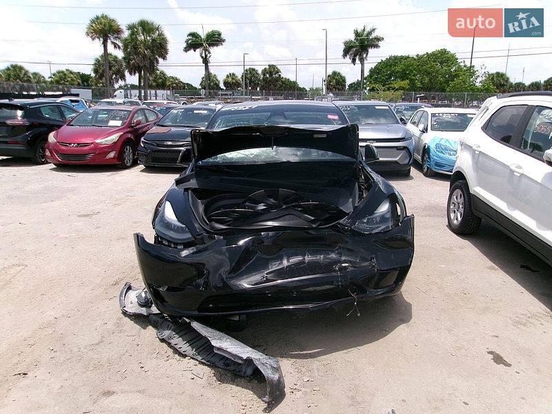 Внедорожник / Кроссовер Tesla Model Y 2024 в Виннице