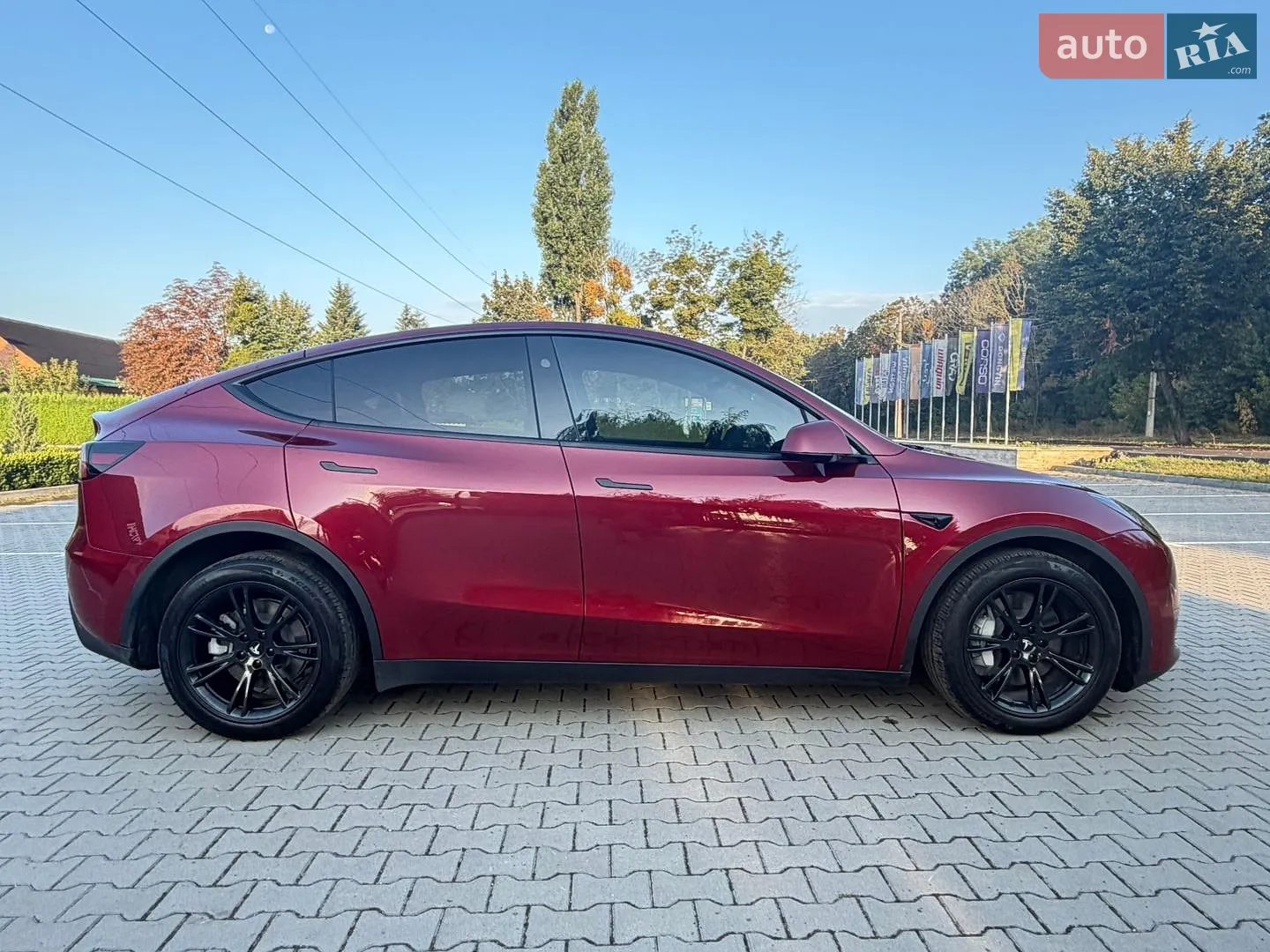 2024 Tesla Model Y - мініатюра 6