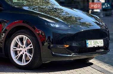 Позашляховик / Кросовер Tesla Model Y 2023 в Чернівцях