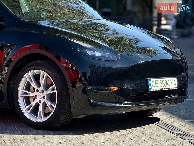 Позашляховик / Кросовер Tesla Model Y 2023 в Чернівцях