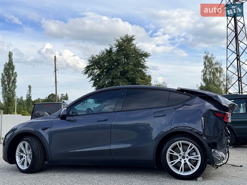 Внедорожник / Кроссовер Tesla Model Y 2021 в Дрогобыче
