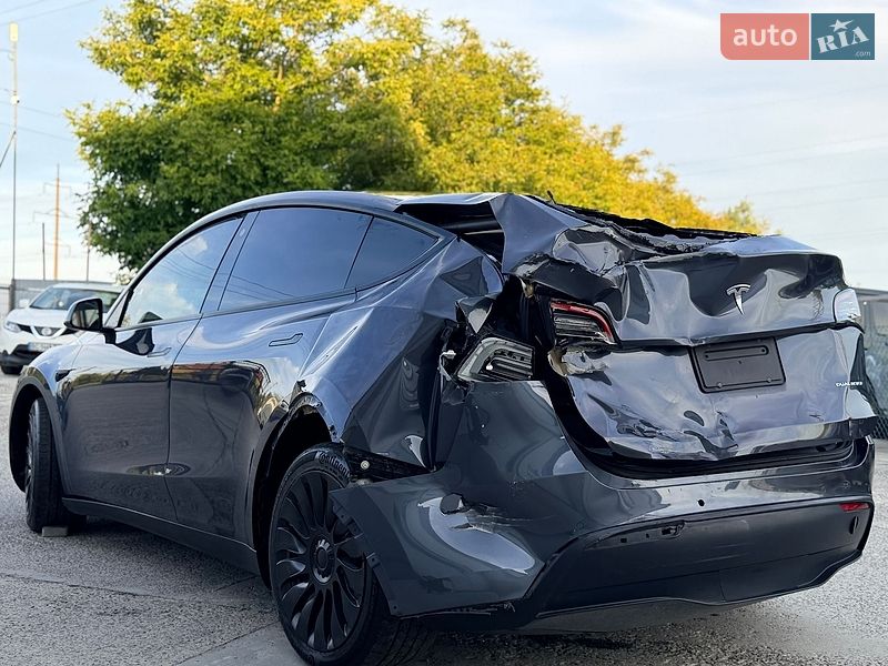 Внедорожник / Кроссовер Tesla Model Y 2022 в Дрогобыче
