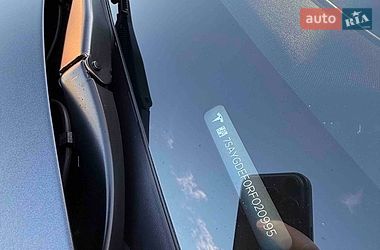 Внедорожник / Кроссовер Tesla Model Y 2024 в Ирпене