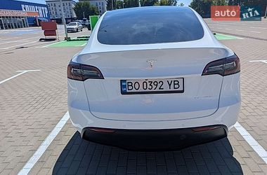 Позашляховик / Кросовер Tesla Model Y 2021 в Тернополі