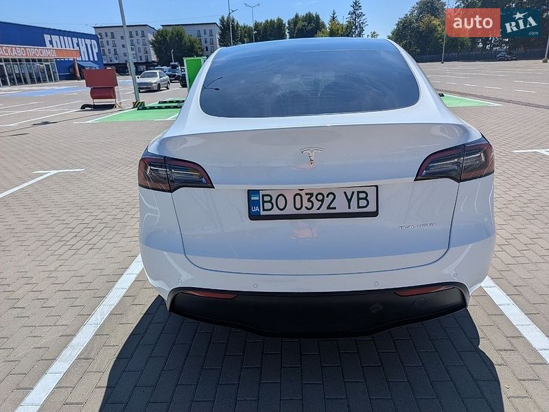 Позашляховик / Кросовер Tesla Model Y 2021 в Тернополі