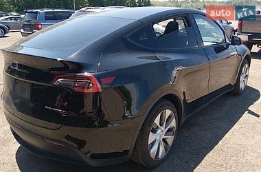 Внедорожник / Кроссовер Tesla Model Y 2021 в Луцке фото 3 Внедорожник / Кроссовер Tesla Model Y 2021 в Луцке