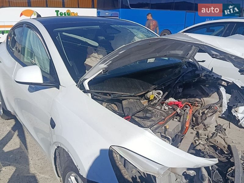 Внедорожник / Кроссовер Tesla Model Y 2023 в Львове