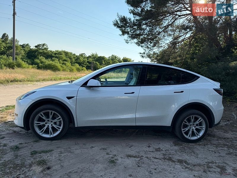 Внедорожник / Кроссовер Tesla Model Y 2023 в Киеве