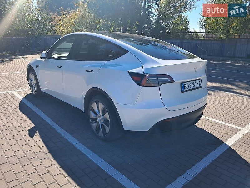 Внедорожник / Кроссовер Tesla Model Y 2023 в Тернополе