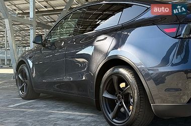 Внедорожник / Кроссовер Tesla Model Y 2025 в Львове