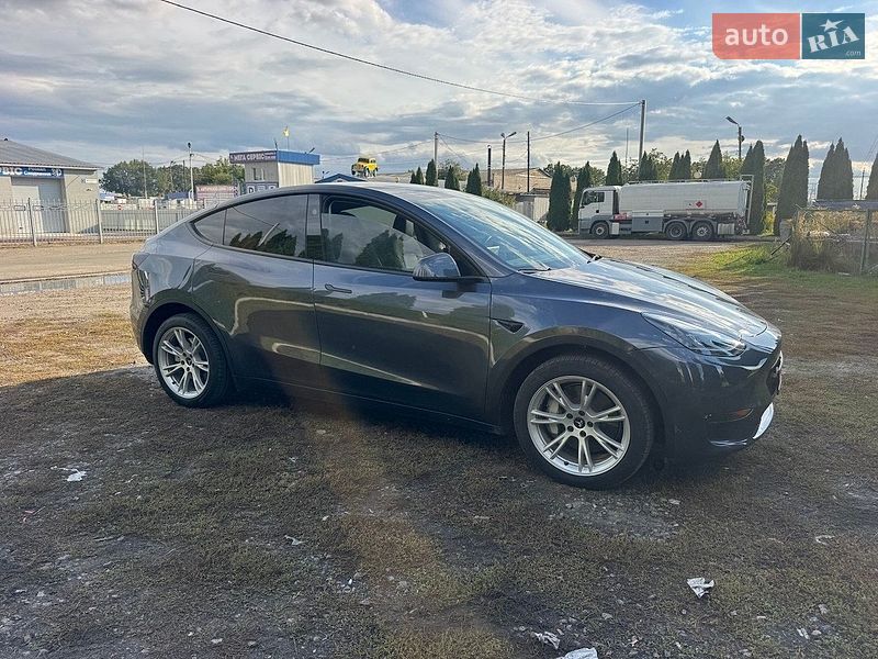 Внедорожник / Кроссовер Tesla Model Y 2024 в Броварах