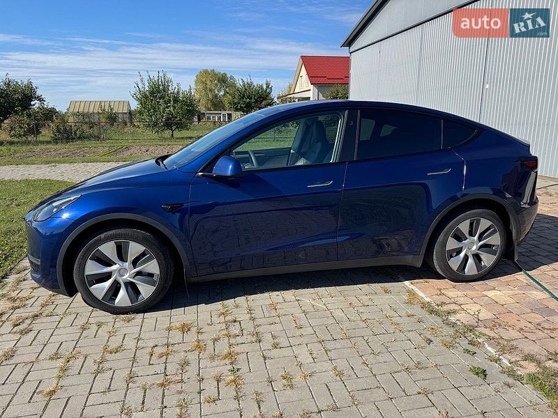 Позашляховик / Кросовер Tesla Model Y 2023 в Києві