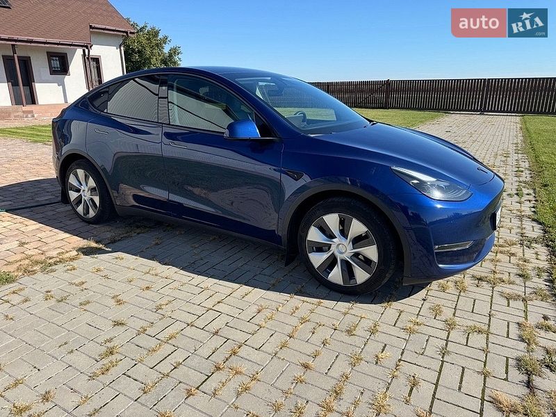 Позашляховик / Кросовер Tesla Model Y 2023 в Києві