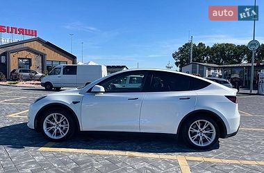Внедорожник / Кроссовер Tesla Model Y 2023 в Звягеле