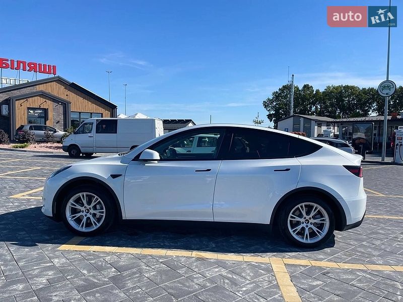 Внедорожник / Кроссовер Tesla Model Y 2023 в Звягеле