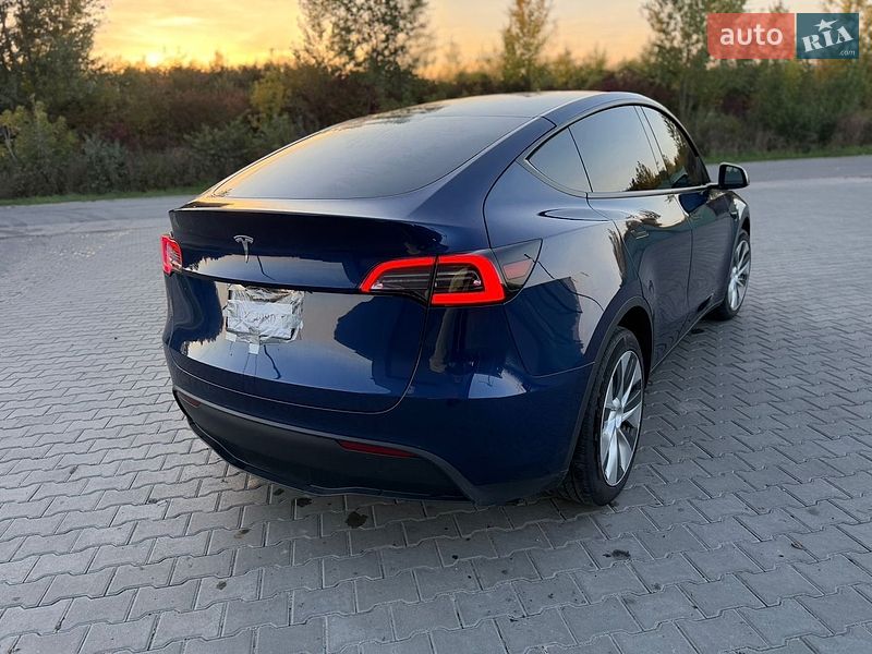 Позашляховик / Кросовер Tesla Model Y 2023 в Звягелі