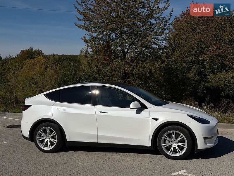 Позашляховик / Кросовер Tesla Model Y 2023 в Львові