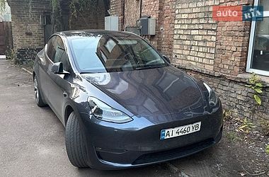 Внедорожник / Кроссовер Tesla Model Y 2023 в Киеве