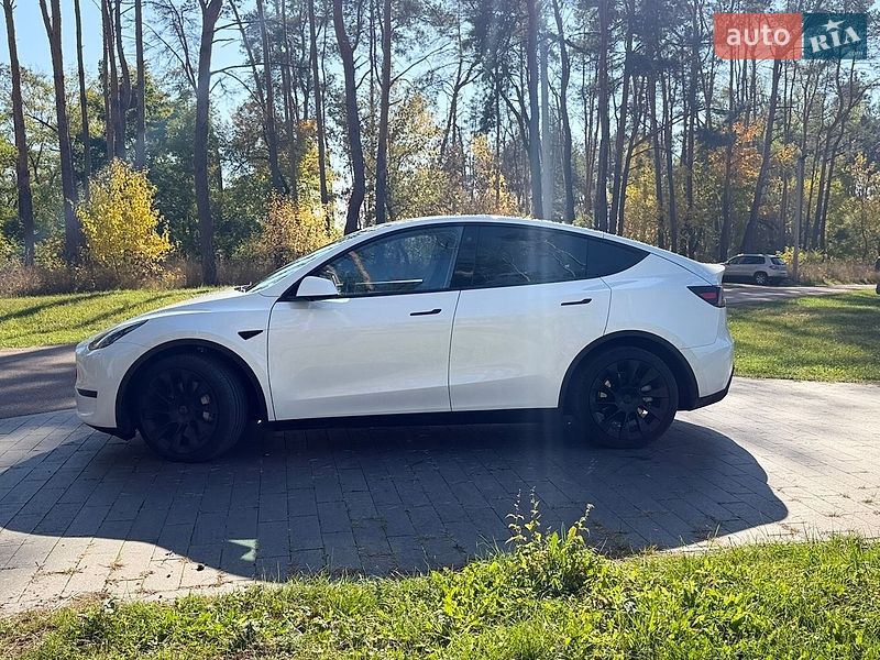 Позашляховик / Кросовер Tesla Model Y 2021 в Житомирі