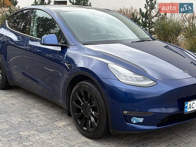 Внедорожник / Кроссовер Tesla Model Y 2021 в Луцке