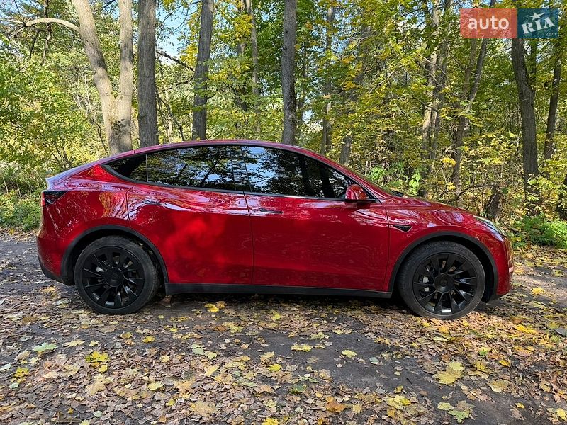 Позашляховик / Кросовер Tesla Model Y 2022 в Києві