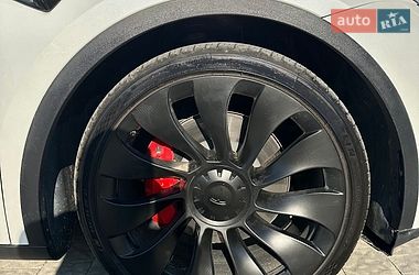 Внедорожник / Кроссовер Tesla Model Y 2023 в Львове