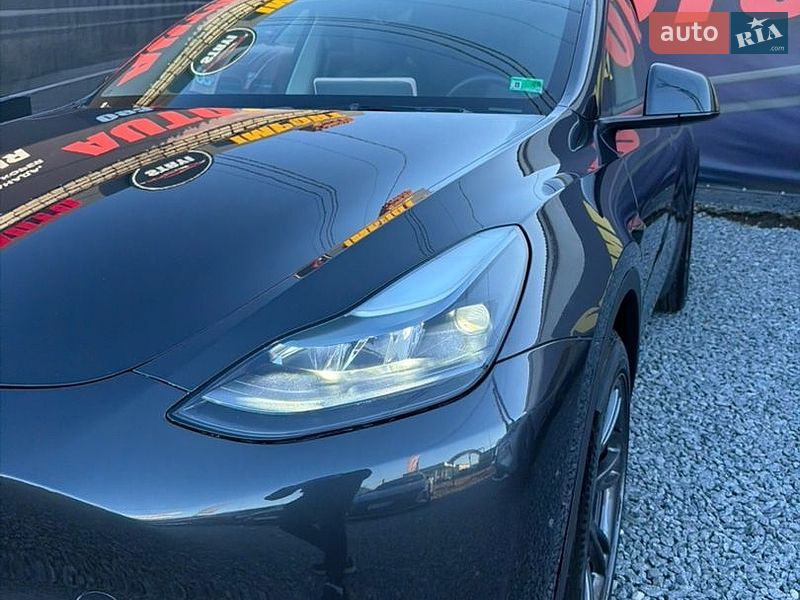 Позашляховик / Кросовер Tesla Model Y 2024 в Стрию